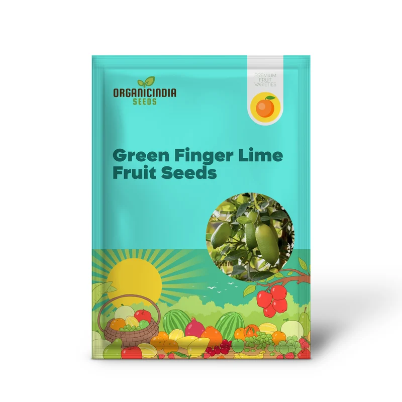 Green Finger Lime Seeds for planting – Grow Your Own Citrus Oasis