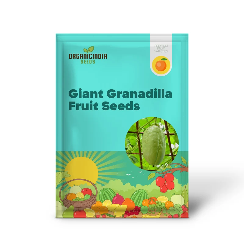 Giant Granadilla Fruit Seeds, Plant for a Bountiful and Delicious Harvest of Exotic Fruits