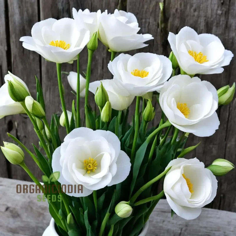 Lisianthus Seeds – Premium Eustoma Variety for Garden Planting & Bouquets