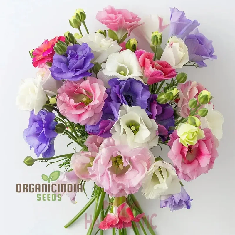 Lisianthus Flower Seeds for Planting, White, Purple Flower Seeds Mix Flower Seeds