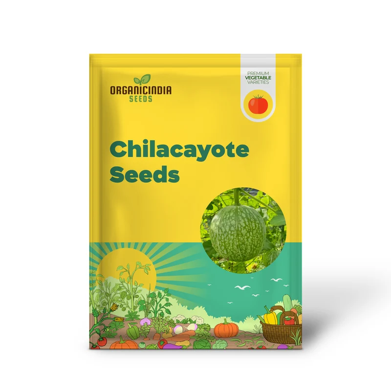 Organic Chilacayote Vegetable Seeds For Planting, Grow Your Gardening Fields Naturally with Premium Quality Seeds