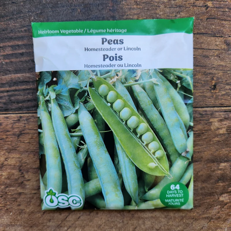 Pois 'Homesteader ou Lincoln'