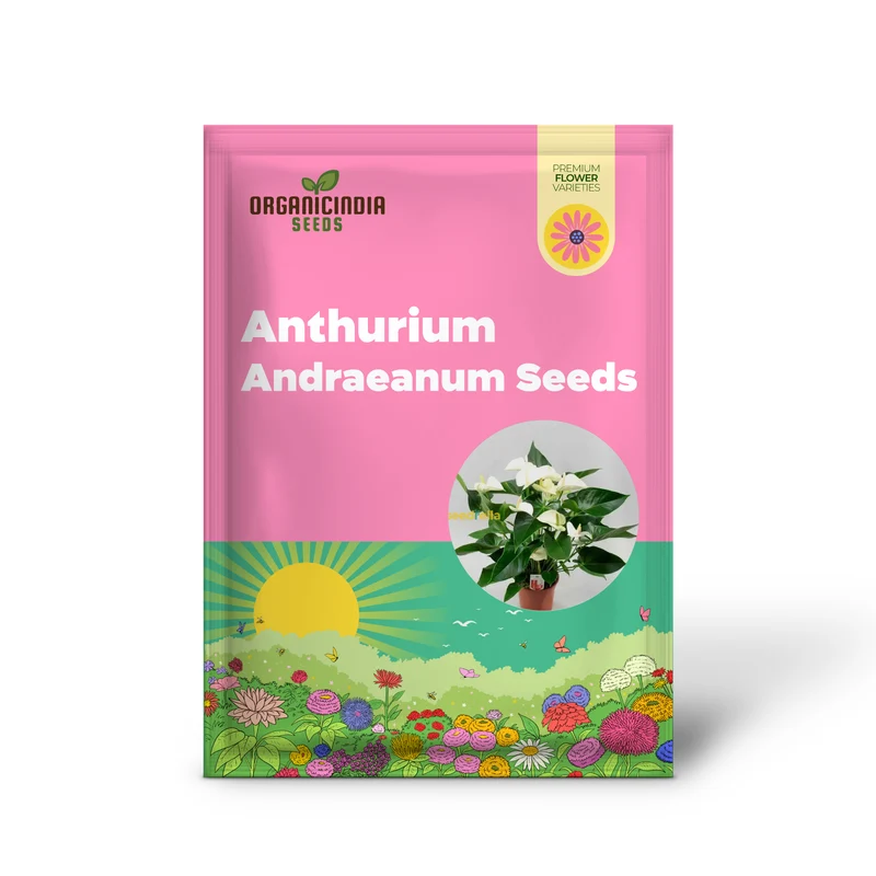 Anthurium Andraeanum White Seeds – Premium Indoor & Garden Planting Variety
