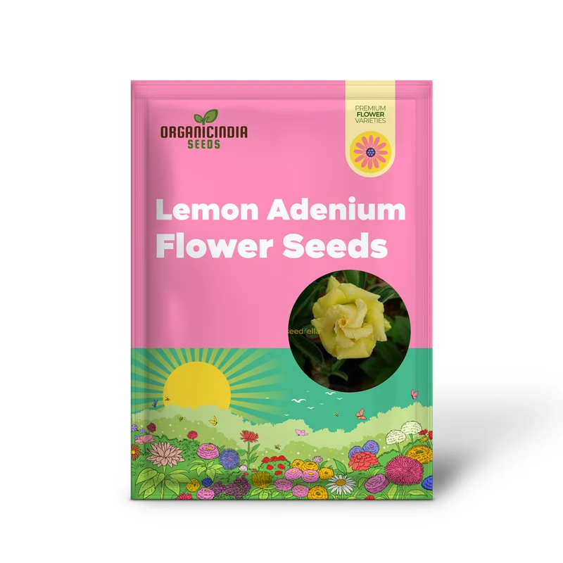 Light Lemon Adenium Flower Seeds - Grow Vibrant, Stunning Blooms in Your Garden