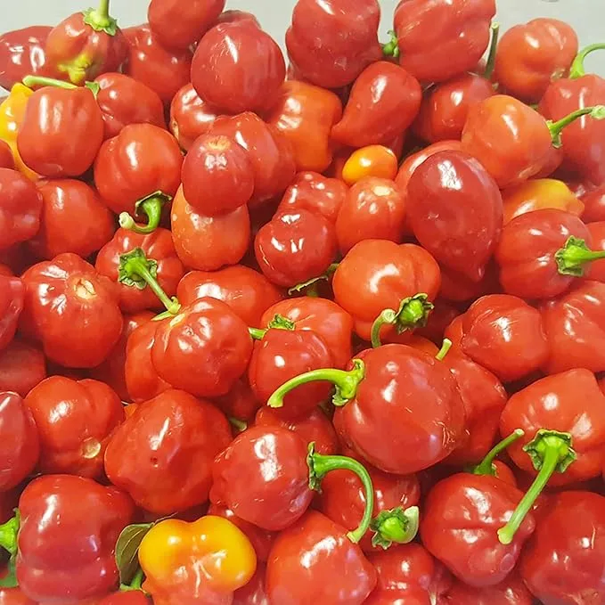 Thai Bird's Eye Chili Peppers Seeds for Planting