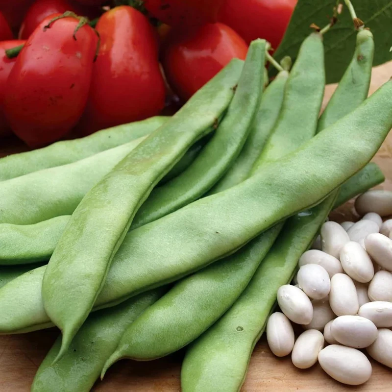 Romano Pole Bean Seeds, Italian Pole Bean with Tender Texture And Rich Flavor, Eaten Fresh or Cooked, Perfect for Trellises And Outdoor Growing, Vegetable Seeds
