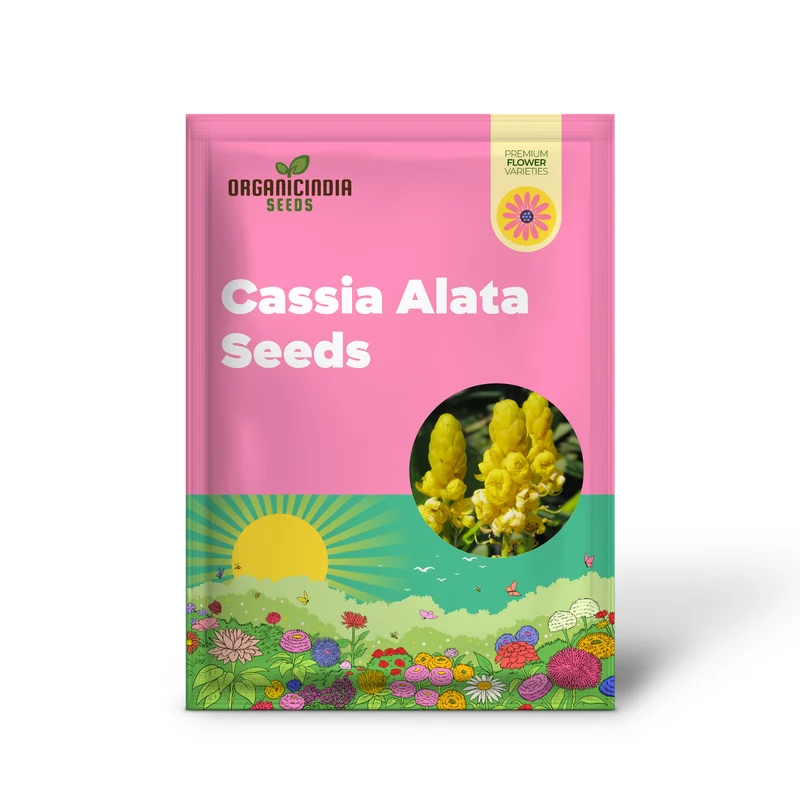 Cassia Alata Seeds – Exotic Senna Alata Evergreen Shrub for Ornamental Landscaping