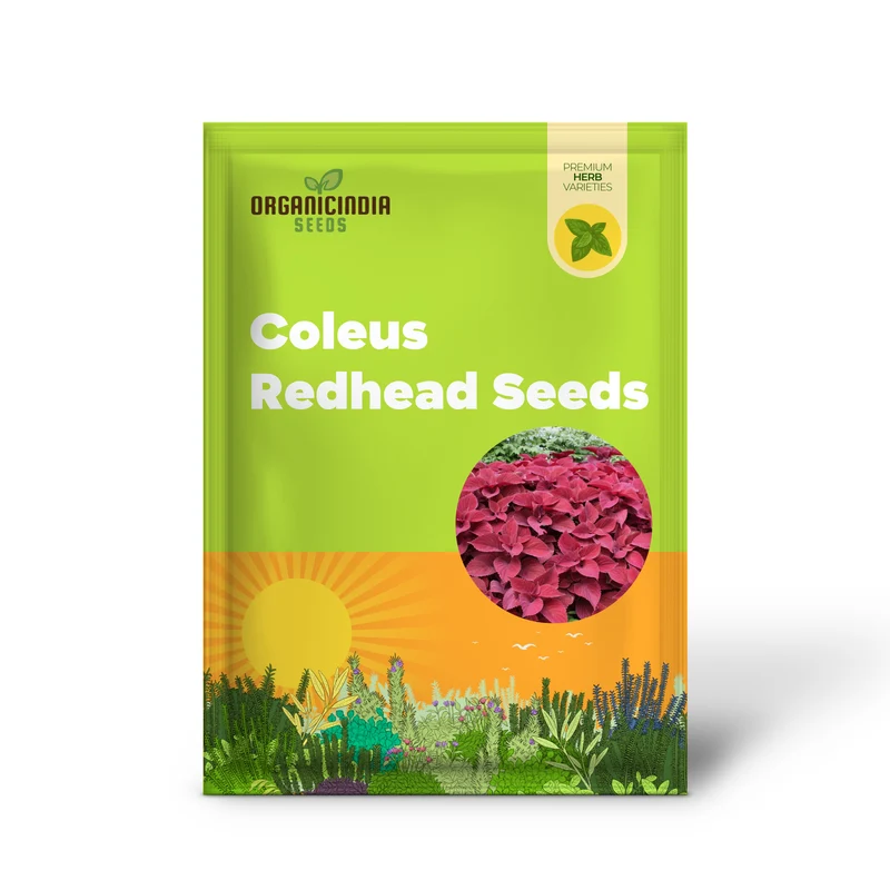 Coleus Redhead Seeds | Low Maintenance Evergreen Herb | Showy Red Foliage for Beds, Borders, and Containers, Outdoor Garden Seeds