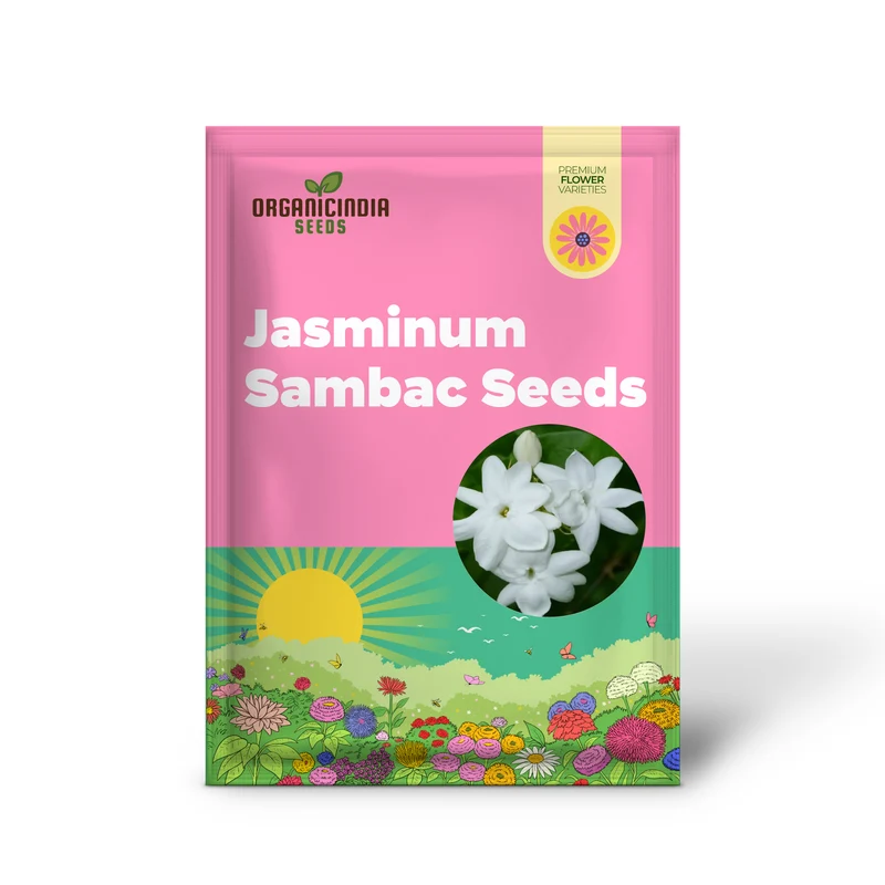 Jasminum Sambac Seeds Arabian Jasmine, Fragrant Broadleaf Evergreen for Patio Borders And Outdoor Gardens, Low Maintenance Flower Seeds