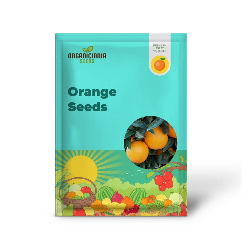 Washington Navel Orange Seeds - Exceptional Sweetness, Seedlessness, Easy-to-Peel Skin, Juicy & Tender Flesh - 10 Pcs