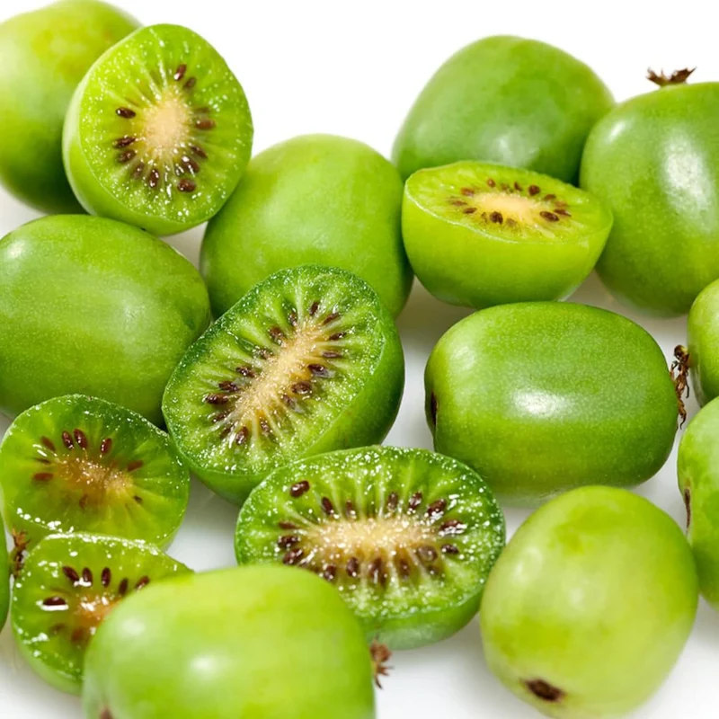 Hardy Kiwi Seeds - Actinidia Arguta Perennial Climber for Trellises & Fences, GMO-Free, Fragrant Fruit & Berries - 10Pcs Fruit Seeds