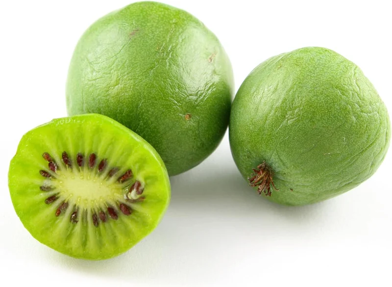 Hardy Kiwi Seeds - Actinidia Arguta Perennial Climber for Trellises & Fences, GMO-Free, Fragrant Fruit & Berries - 10Pcs Fruit Seeds