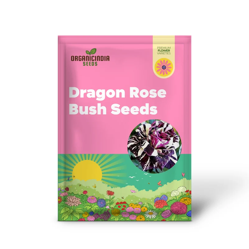 Black Dragon Rose Seeds – Rare Dark Bloom Garden Rose