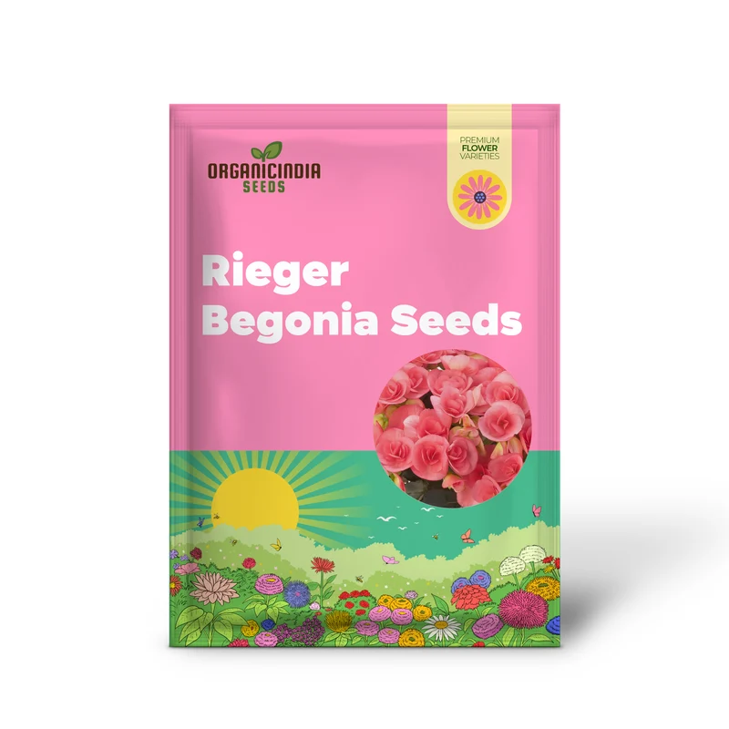 Begonia Seeds (Pink Rieger Begonia Seeds) - Showy Blooms and Attractive Foliage for Indoor and Outdoor Use