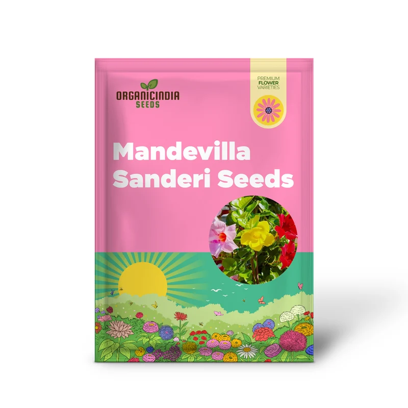 Mandevilla Sanderi Seeds Brazilian Jasmine Beautiful Colorful Fragrance Blooms Easy Care for Gardens And Containers