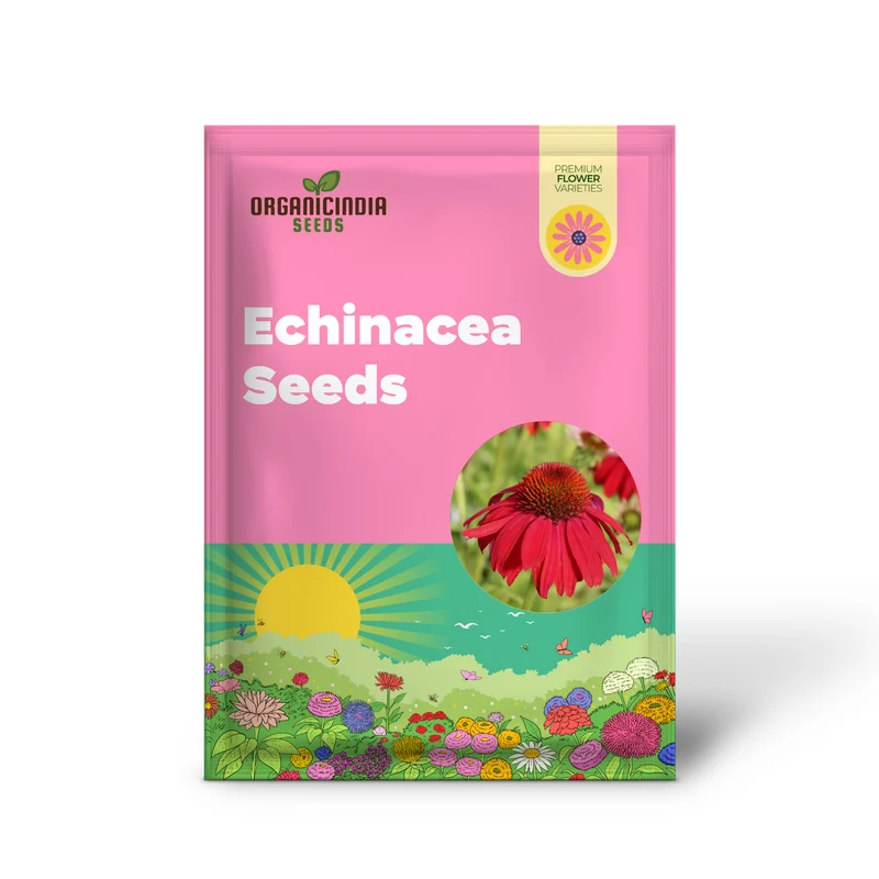 Echinacea Seeds (Tomato Soup Echinacea Seeds) - Vibrant Orange-Red Perennial Blooms