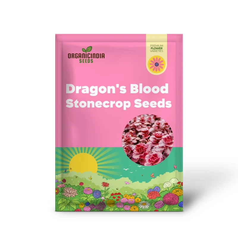 Dragon's Blood Stonecrop Seeds for Planting