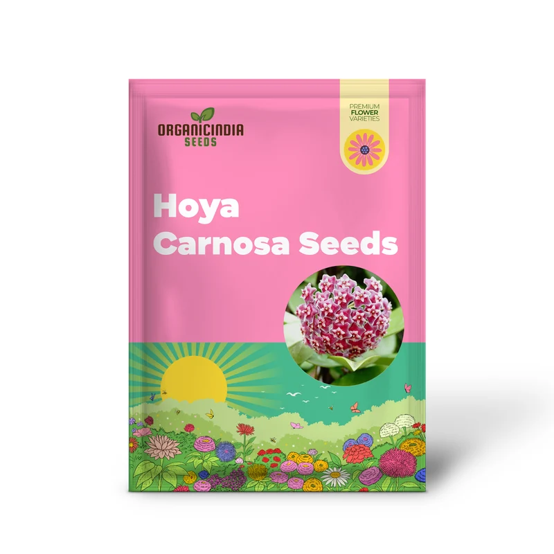 Hoya Carnosa Seeds (Wax Plant) - Attractive Waxy Foliage, Unique Growth Habit, Fragrant Star-Shaped Flowers, Low-Maintenance Houseplant for Hanging Basket - 100 Pieces