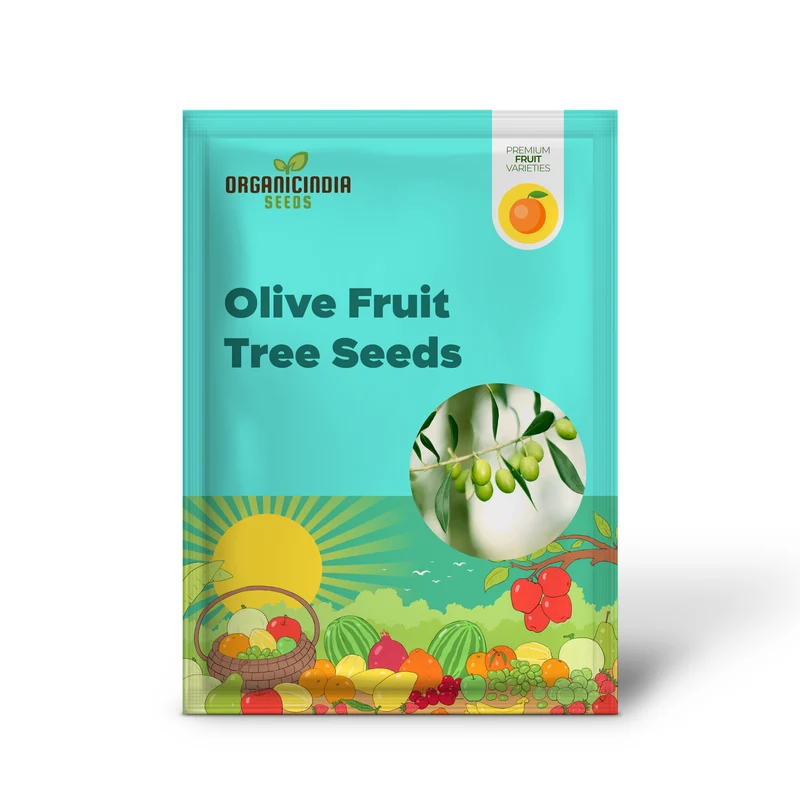 Olive Fruit Tree Seeds for Planting Non GMO, Evergreen Perennial