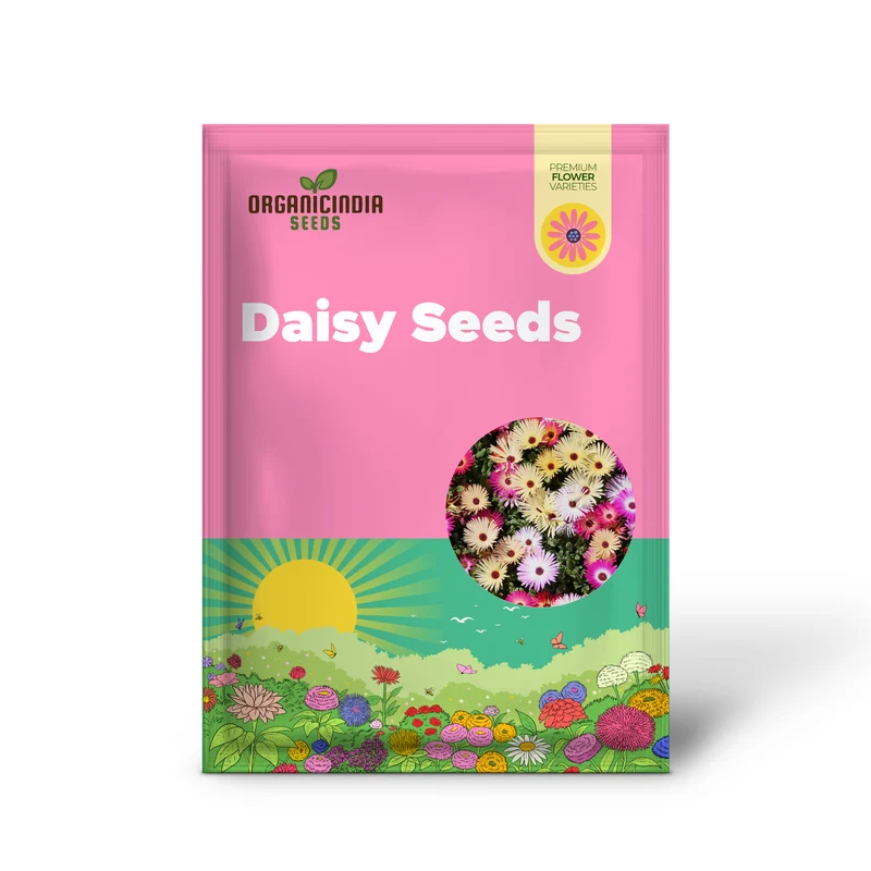 Livingstone Daisy Seeds – Mixed Colors, Drought-Tolerant Succulent Ground Cover for Gardens