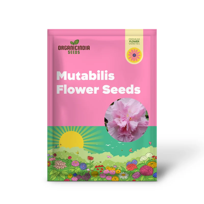 Hibiscus Mutabilis Seeds – Confederate Rose Double Pink Blooms