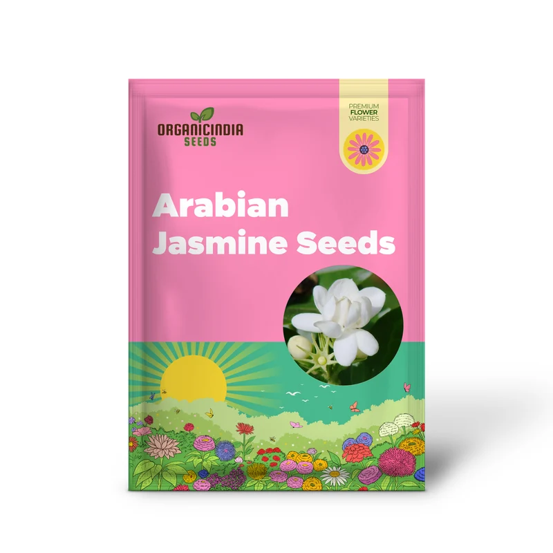 Arabian Jasmine Seeds for Planting Jasminum Sambac, Fragrant Evergreen Climbing Shrub for Patio, Garden And Containers