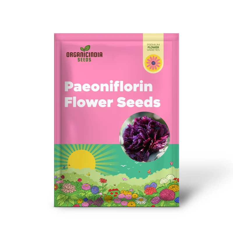 Papaver Paeoniflorin Black Peony Seeds – Elegant Black Poppy Blooms for Garden