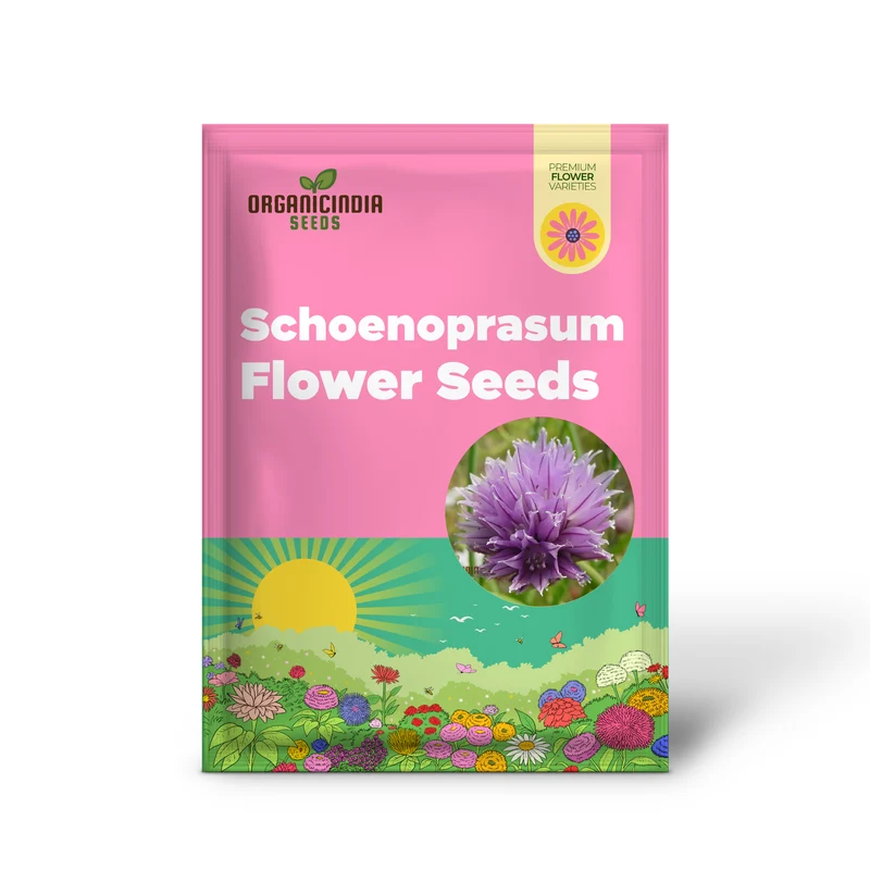Allium Schoenoprasum Flower Seeds for Planting