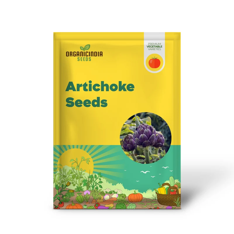 Artichoke Seeds - Purple Headed Seeds For Planting, Cultivate Eye-Catching Purple Artichokes