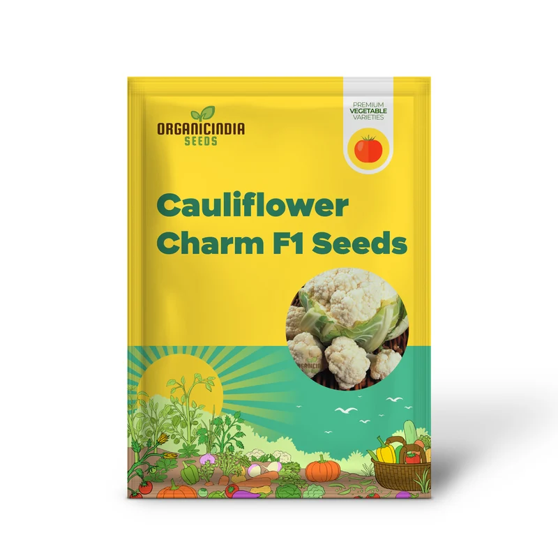 Cauliflower Candid Charm F1 - Premium Vegetable Seeds for Planting and Growing Stunning Flowers