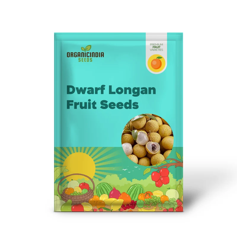 Rare Dwarf Longan Sri Chompoo (Dragon Eye) Exotic Fruit Seeds | 6 Seeds | Unique Tropical Fruit Variety