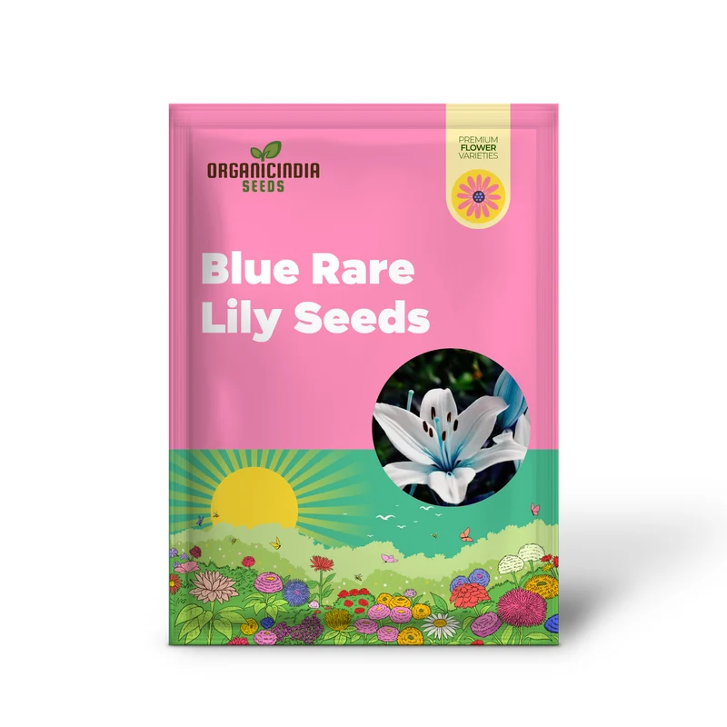 Blue Rare Lily Seeds for Yard Gardening, Lilium Flower Seeds for Home, Bonsai, and Garden Planting