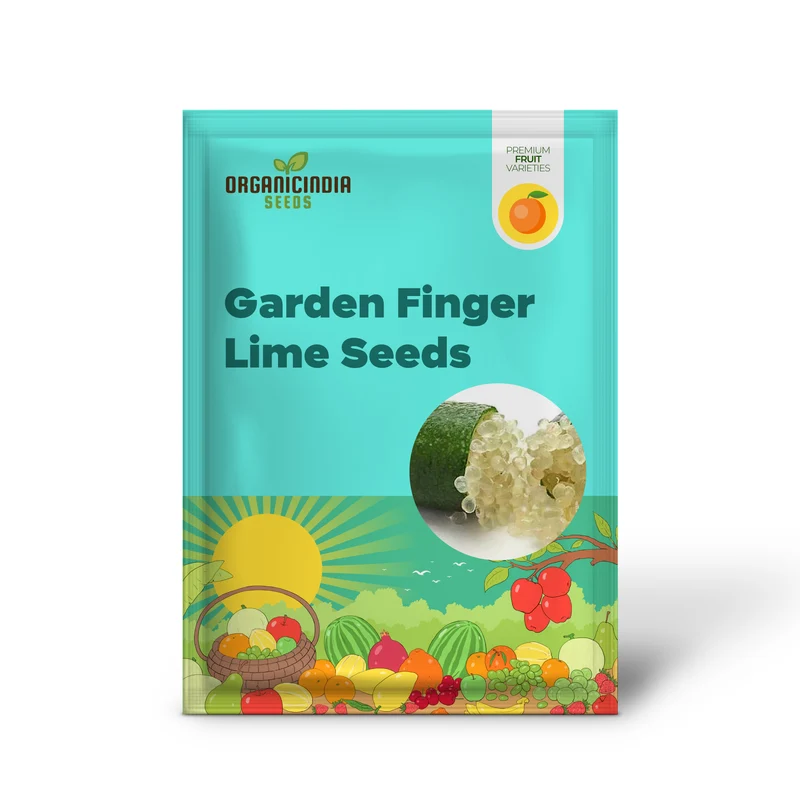 Garden Finger Lime Seeds, Non-GMO Evergreen Perennial, Low Maintenance Cooking Plant