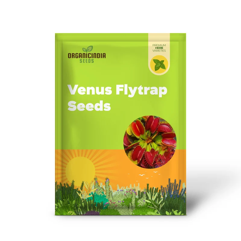 Venus Flytrap Seeds – Dionaea Muscipula Carnivorous Plant Seeds