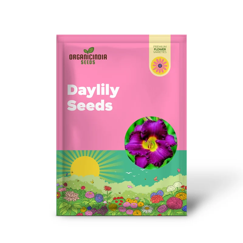 10 Mixed Colors Daylily Seeds Hemerocallis Day Lily Fine Mix Red, Purple, and More Flower Seeds