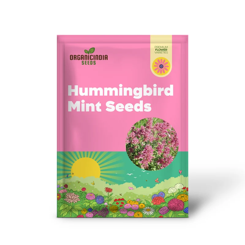 Hummingbird Mint Seeds – Agastache Heather Queen for Pollinator Gardens