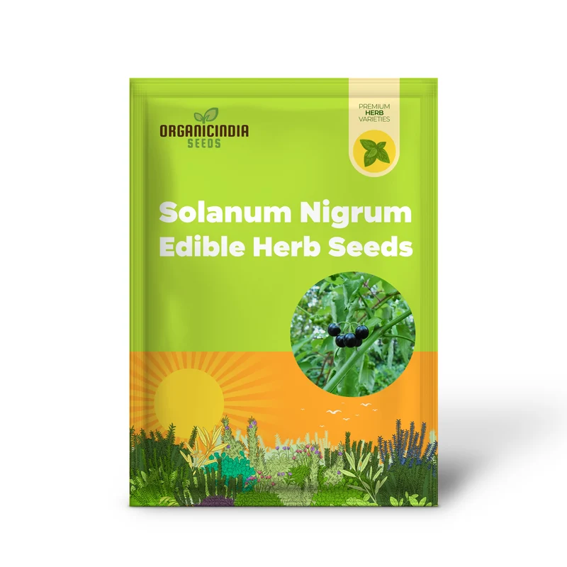 Black Nightshade Seeds Solanum Nigrum Edible Herb, Low Maintenance, Annual Perennial for Patio And Garden