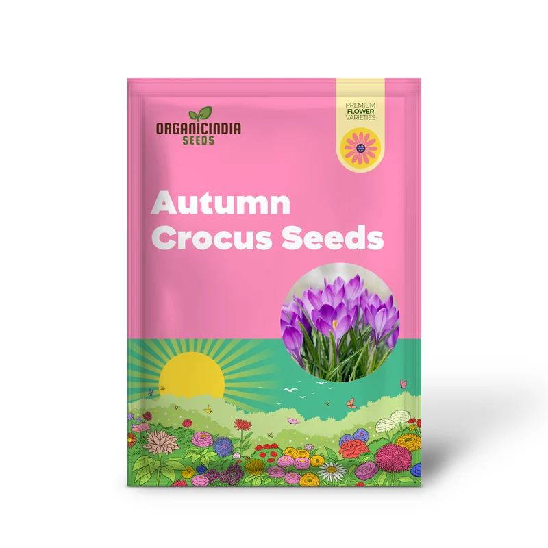 Autumn Crocus Seeds Colchicum Autumnale Cup-Shaped Flowers Minimal Maintenance Perennial Beds & Rock Gardens