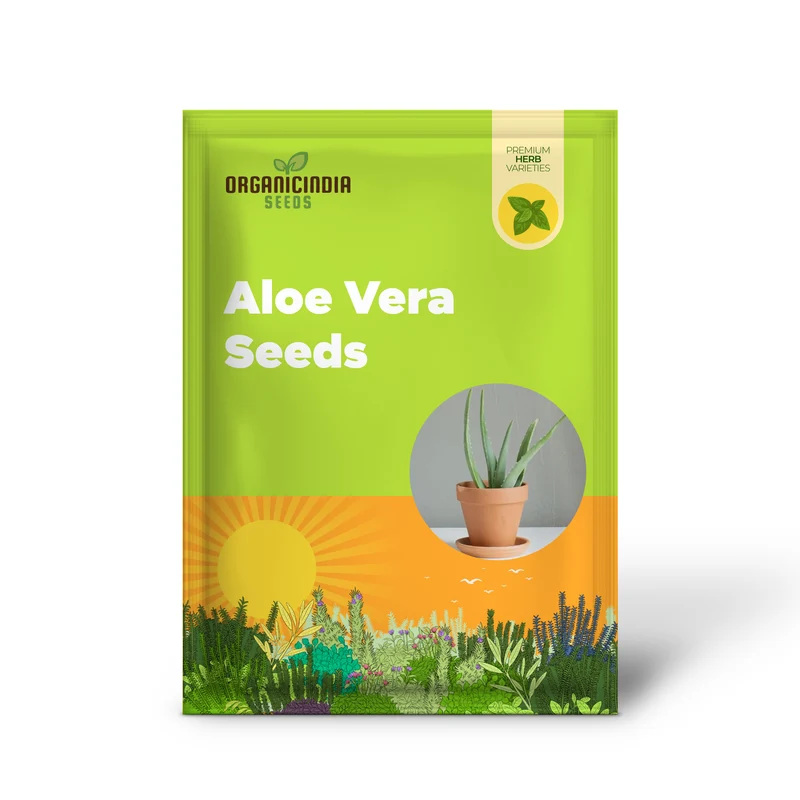 Aloe Vera Seeds Non GMO Succulent Herb Perennial for Easy Care Indoor And Outdoor Containers