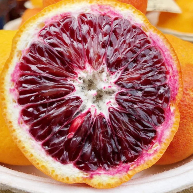 Blood Orange Tree Seeds Fast Growing, Rich in Vitamin C, Juicy, GMO Free, Ideal for Containers, Patio, Indoor And Outdoor