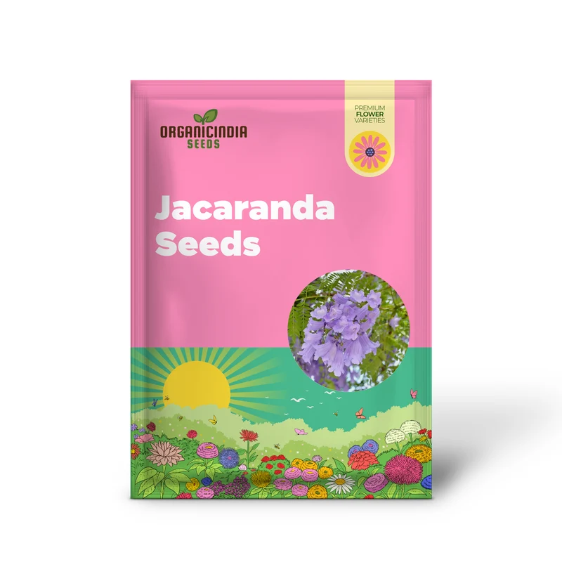 Blue Jacaranda Tree Seeds – Jacaranda mimosifolia Shade Tree