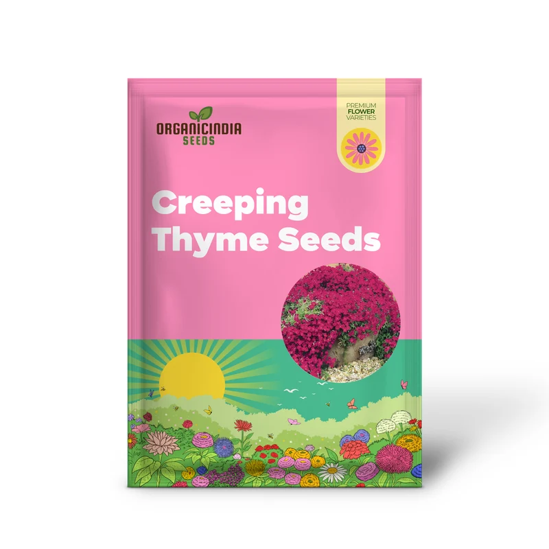 Magic Red Creeping Thyme Seeds for Planting | Heirloom Seeds | Perennial Flower Seeds for Home Garden | Ideal for Gardening Enthusiasts