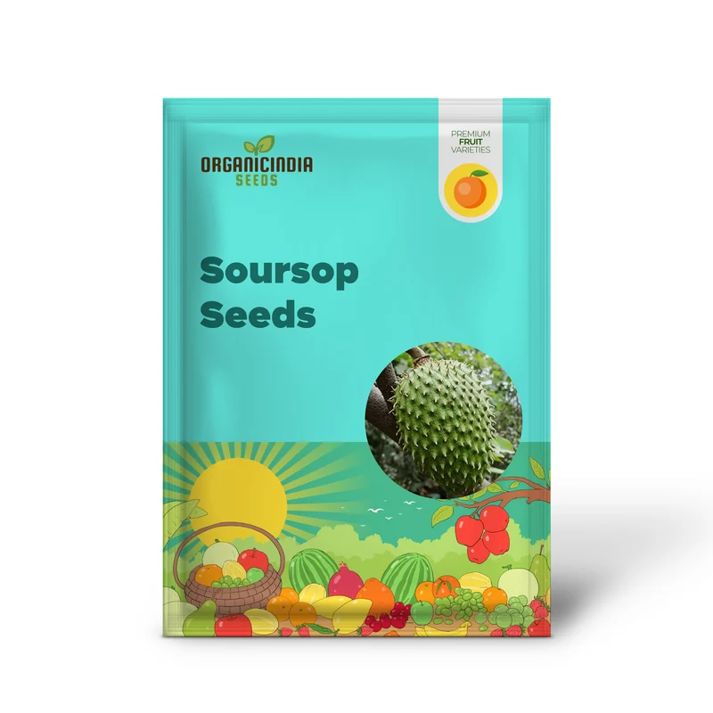 Giant Soursop Seeds Annona Tropical Fruit with Sweet Tangy Flavor for Culinary Health Benefits