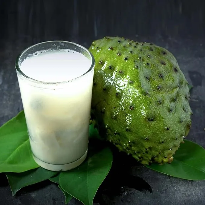 Giant Soursop Seeds Annona Tropical Fruit with Sweet Tangy Flavor for Culinary Health Benefits