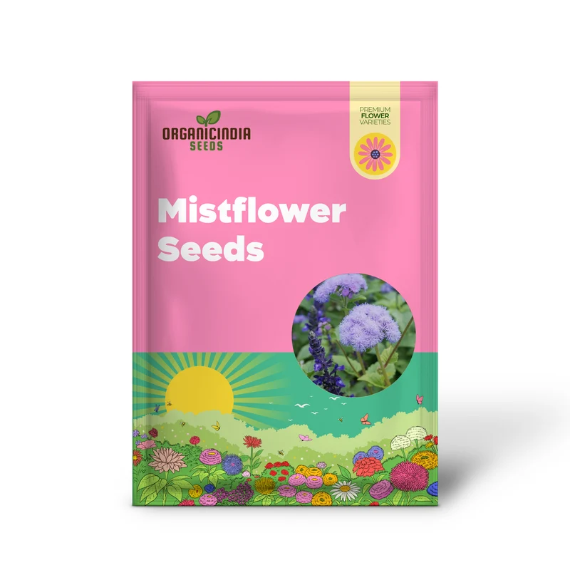 Blue Mistflower Seeds (Conoclinium coelestinum) - Hardy Upright Perennial Blooms