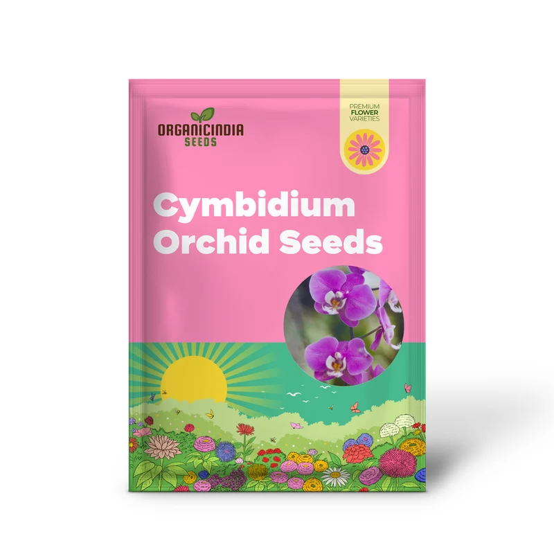 Cymbidium Orchid Purple Seeds – Fragrant, Hardy, Easy-Care Orchid for Indoor & Outdoor Growing