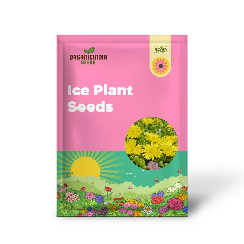Yellow Ice Plant Seeds – Drought-Tolerant Ground Cover for Rock Gardens