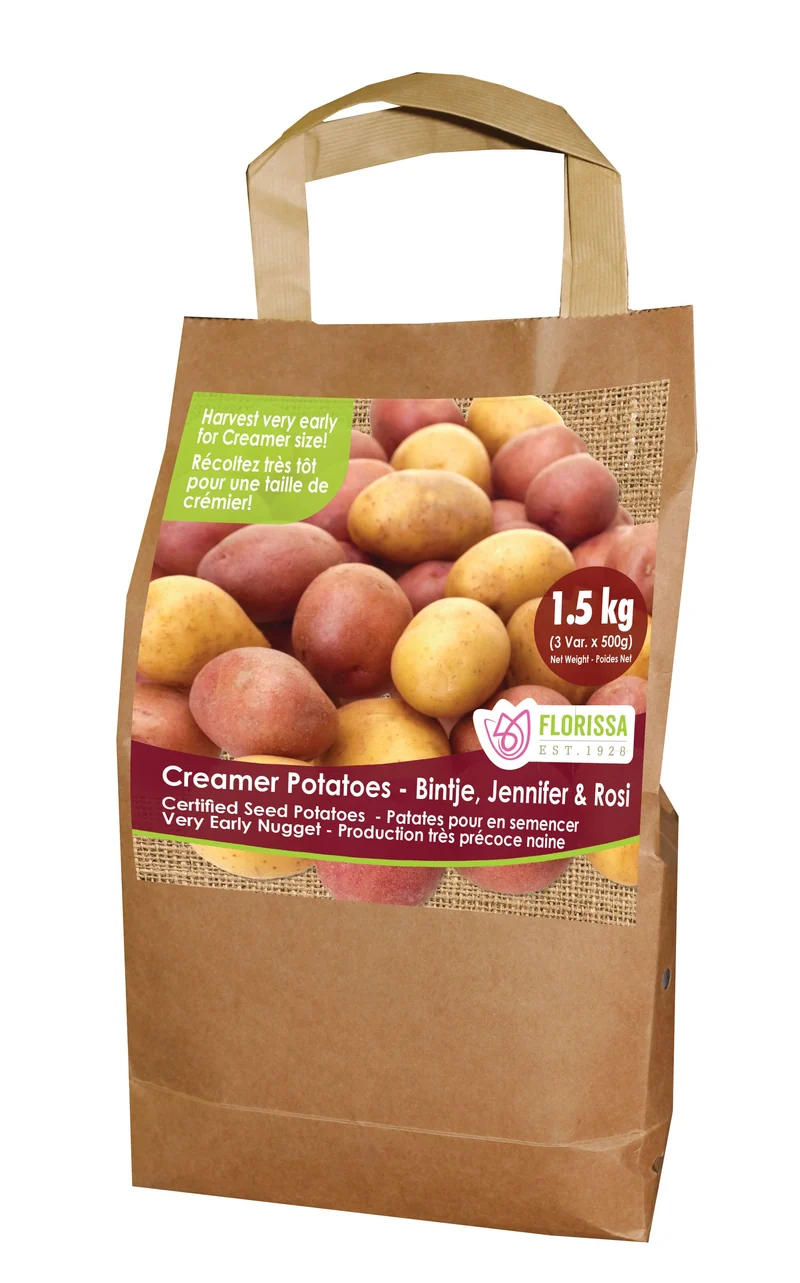 Pomme de terre ‘Creamer Combo Sack’ ( Solanum tuberosum )