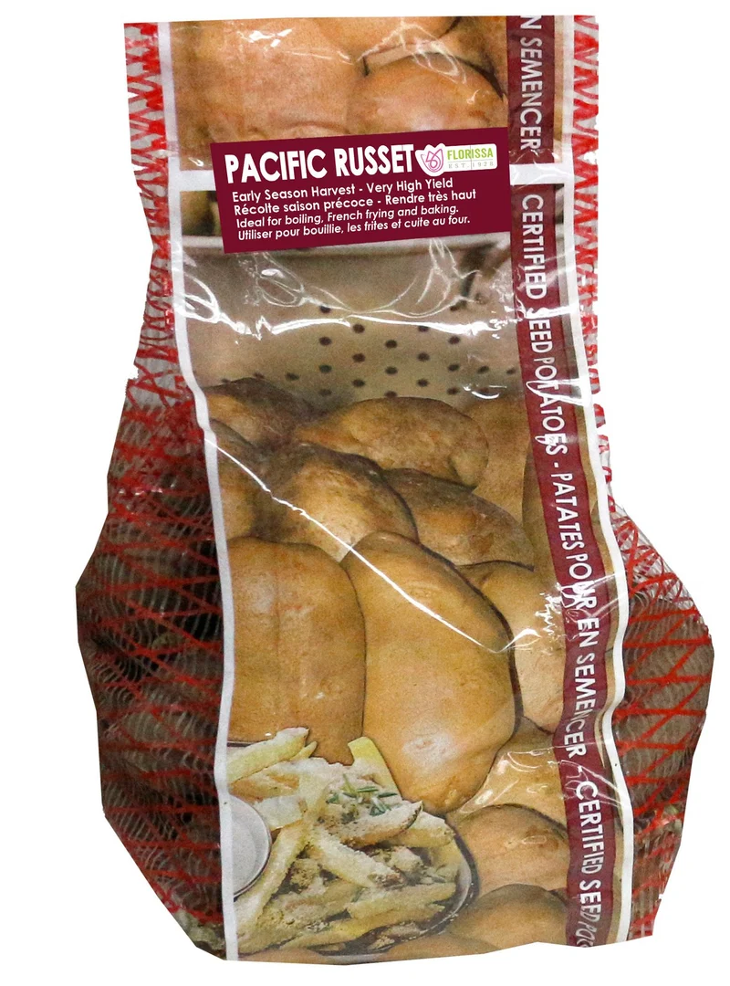 Pomme de terre ‘Pacific Russet’ ( Solanum tuberosum )