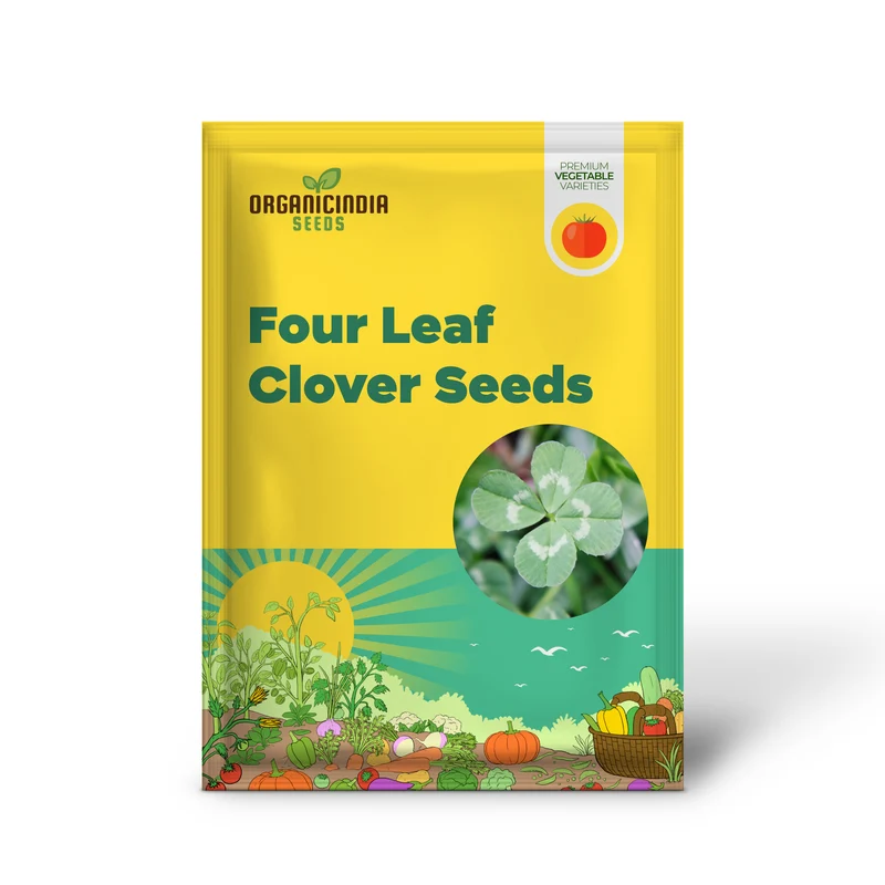 Four Leaf Clover Seeds Perennial GMO Free Ground Cover for Beds, Borders, Patio, Container, Potted Indoor And Outdoor Decor